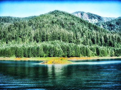 クーガー貯水池, オレゴン州, 山, 風景, 風光明媚です, 水, 反射
