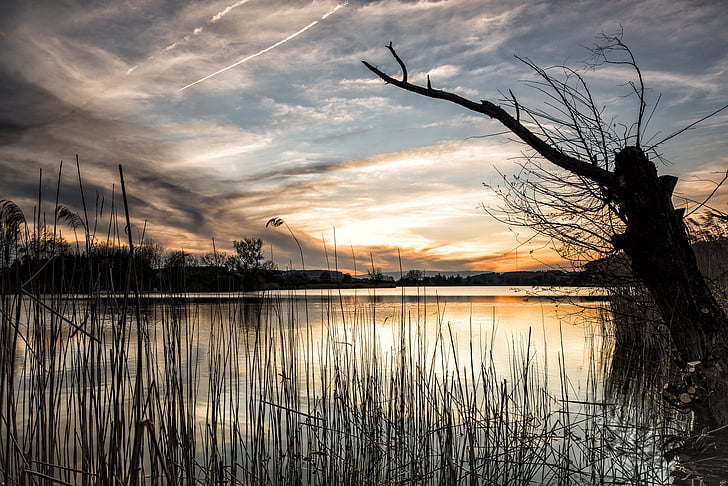lake, landscape, switzerland, nature, water, sunset, reflection
