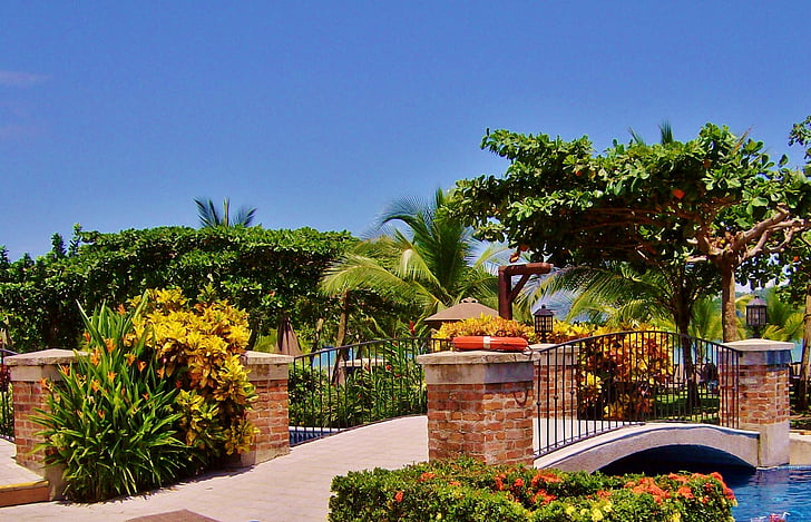 Kosta Rika, Los Sueños marriott, parkas, Gamta, Architektūra, Centrinė Amerika, floros