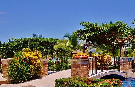 Kostaryka, Los Sueños marriott, Park, Natura, Architektura, Ameryka Środkowa, Flora