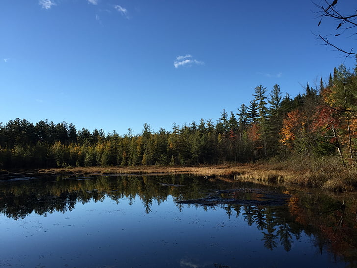 Lago, Adirondacks, Lagoa, reflexões, céu, água, natureza