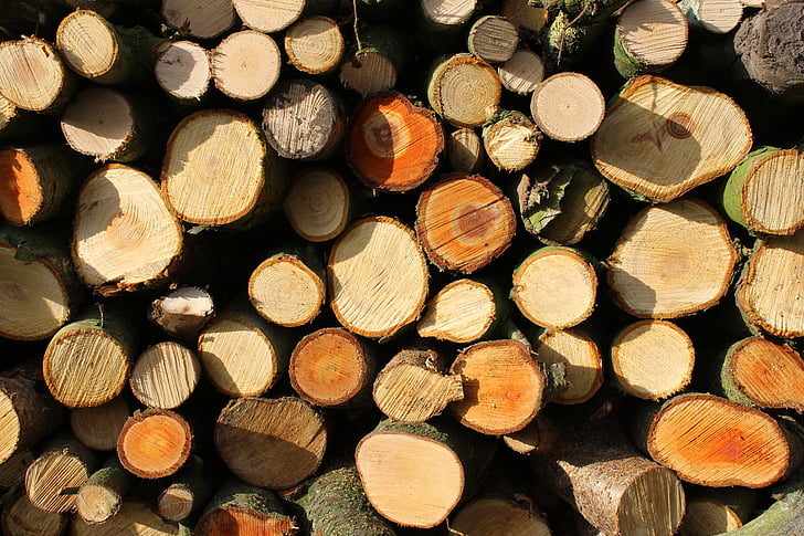 wood, firewood, tree, timber, natural, fire, nature