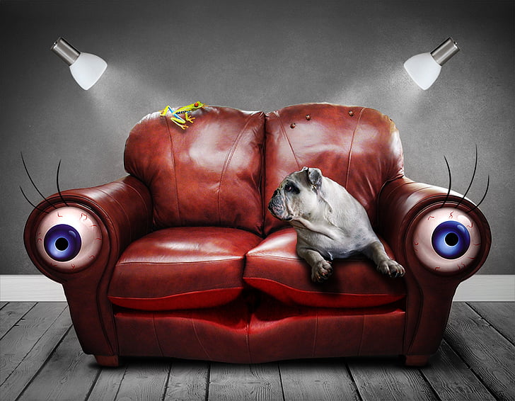 soffa, soffan, surrealistiskt, ögon, hund, konst, konstgjorda