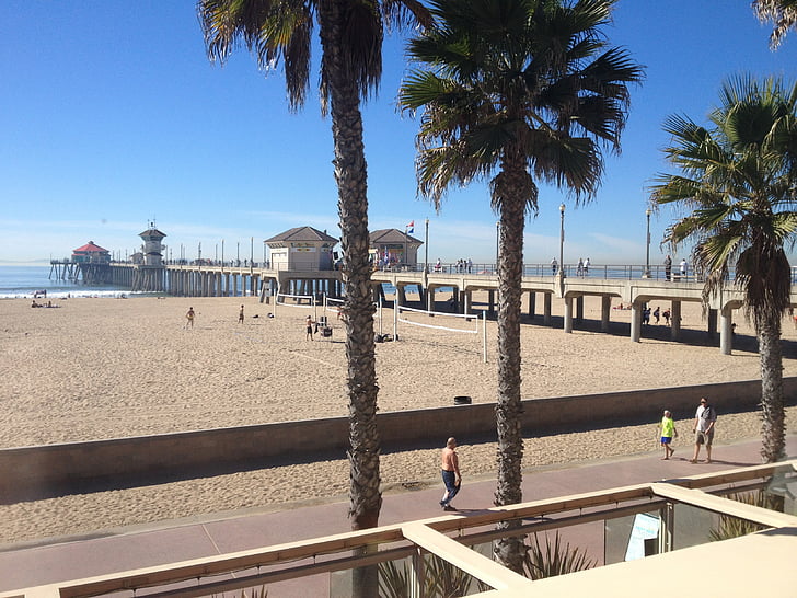 Strand, Pier, Huntington beach, Kalifornien, Küste, Pazifik, Palmen