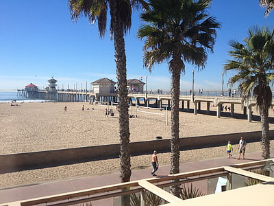beach, pier, huntington beach, california, coast, pacific, palm trees
