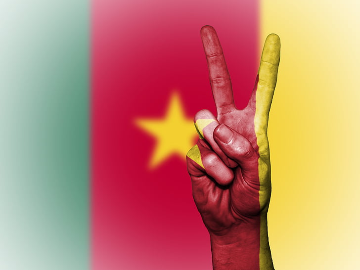 Kamerūnas, vėliava, taikos, nacionalinės, šalies, Kamerūno, simbolis