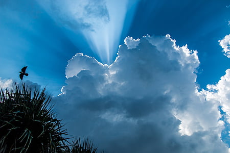 đám mây, hoạt động ngoài trời, Silhouette, bầu trời, mây - sky, Thiên nhiên, vẻ đẹp trong thiên nhiên