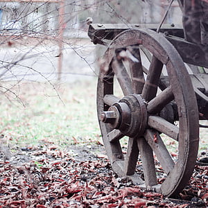 ancient, carriage, dried leaves, history, old, rusty, transport