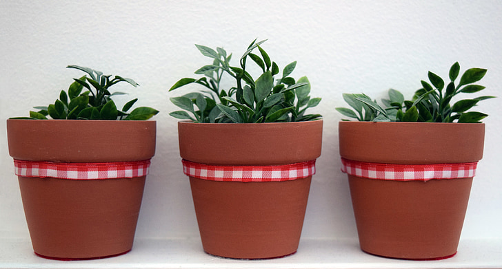 plants synthetic, stoneware, red ribbon, tiles, three, decoration, crafts