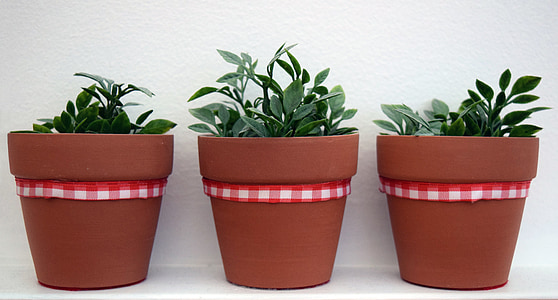 plantes sintètics, gres, cinta vermella, rajoles, tres, decoració, Artesania