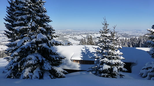 Allgäu, greened, mùa đông, tuyết, mặt trời, lạnh, Frost