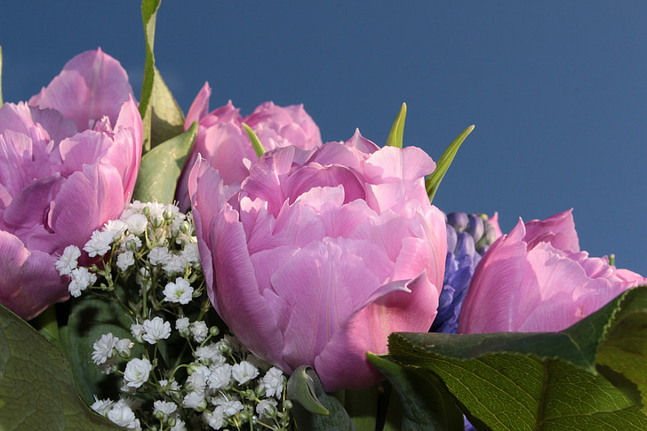 bouquet, double tulips, filled, tulips pink, gypsophila, fragrance, spring bouquet