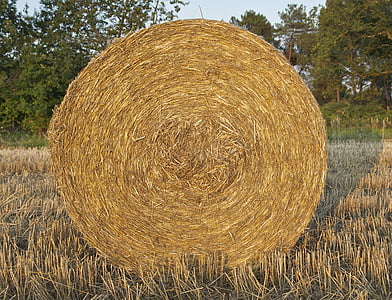 france, farm, rural, rustic, hay, bale, crop
