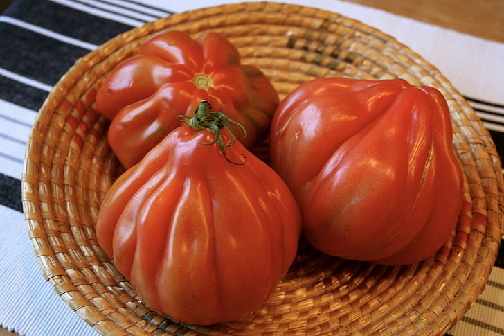 tomaatit, vihannekset, punainen, Coeur de boeuf, Välimeren, italia, Basil