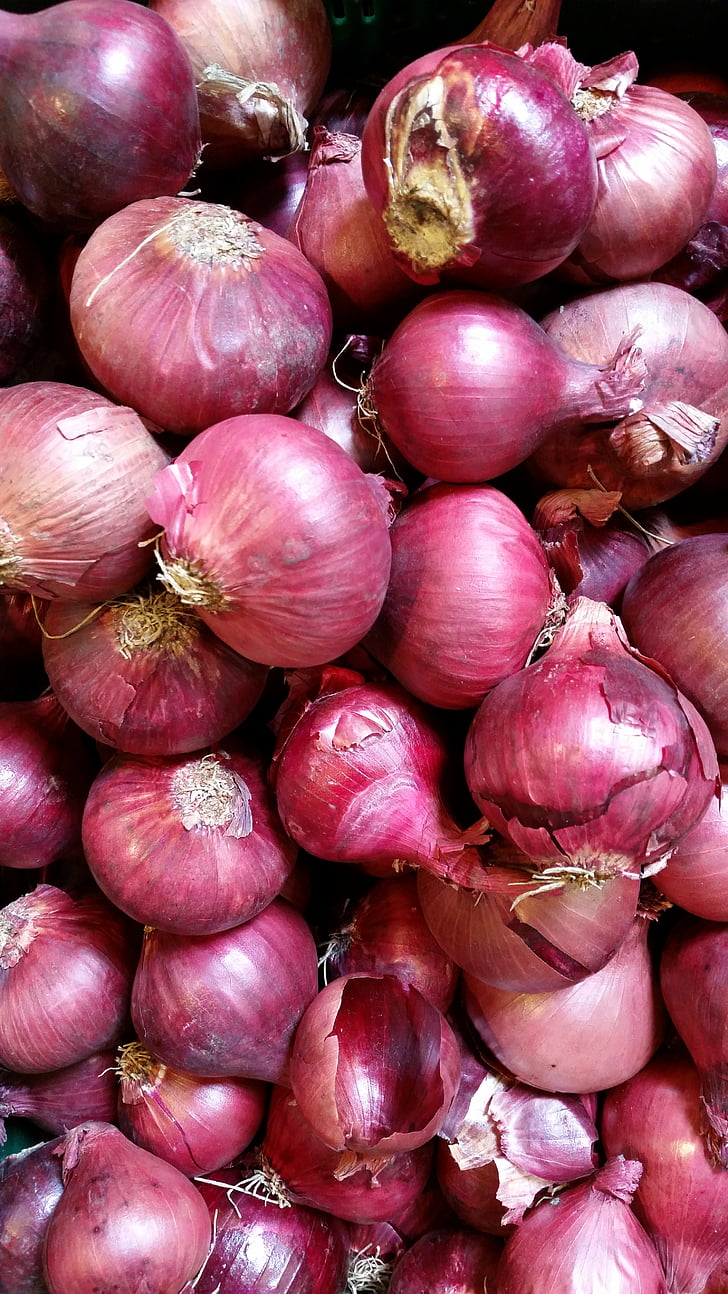 onion, vegetables, cook, food, violet