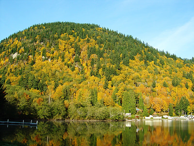 autunno, Lago, natura, paesaggio, stagione, colorato