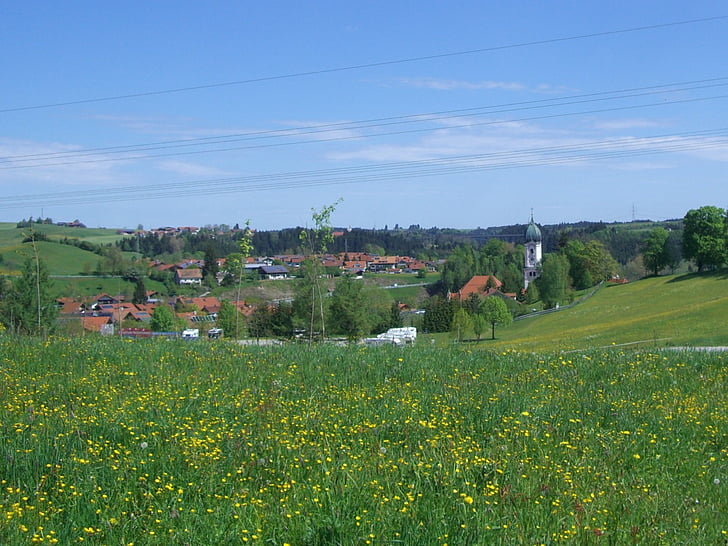 Nesselwang, pré de fleurs, Allgäu, steeple, Sky, bleu