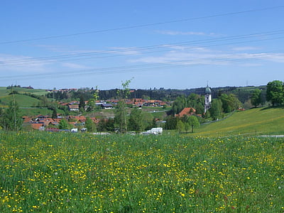 nesselwang, flower meadow, allgäu, steeple, sky, blue