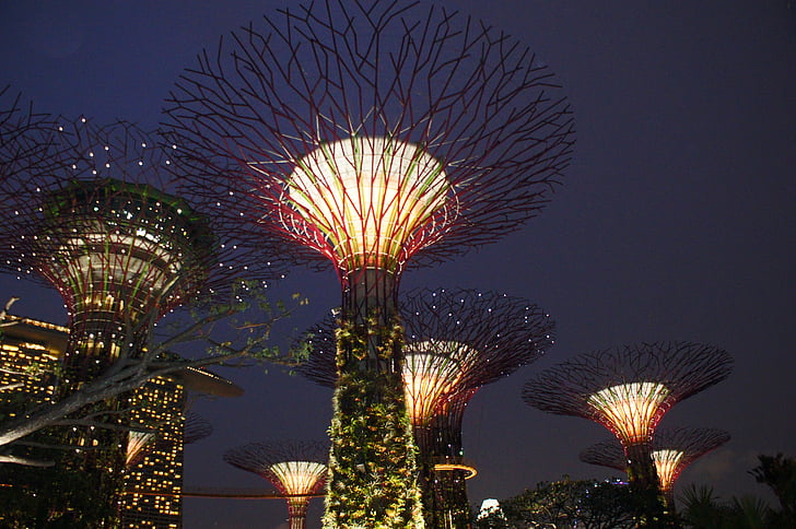 Singapore trädgård i viken, supertree, Singapore, landmärke, Bay, Park, arkitektur