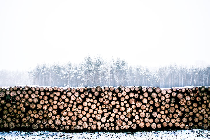 gehakte hout, koude, firewoods, Logboeken, timmerhout, natuur, stapel
