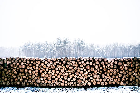 hakkede træ, kolde, firewoods, logs, tømmer, natur, bunke