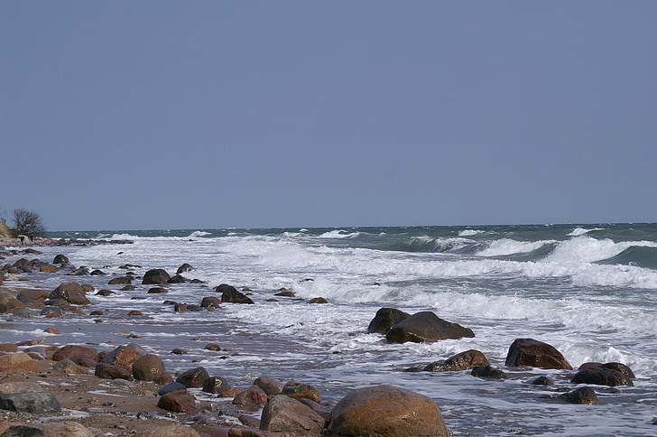 l'aigua, ona, Llac, platja, Frisch, Mar Bàltic, l'aigua de platja