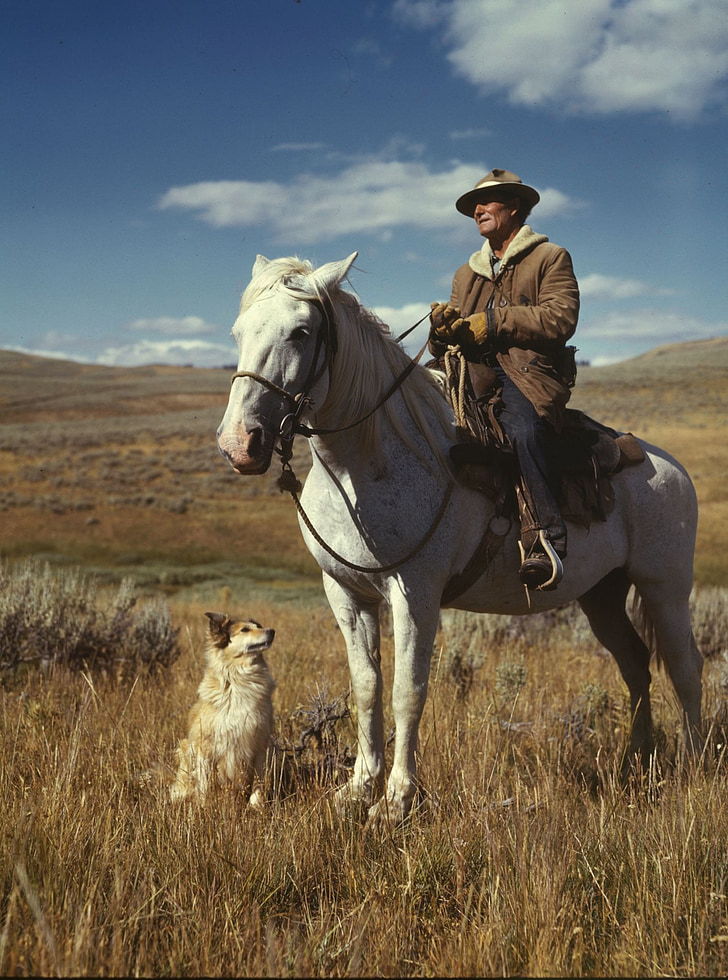 landskapet, 1942, himmelen, skyer, rancheren, mann, hest