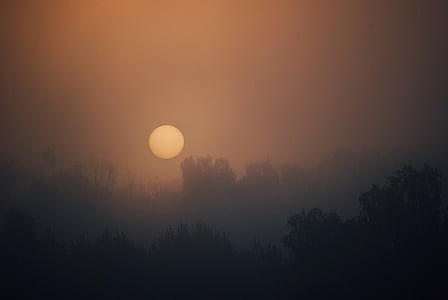 ceaţă, Foto, copaci, complet, luna, Răsărit de soare, dimineata