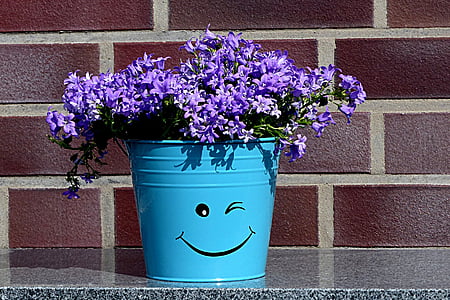 vaso di fiori, Deco, smily, risata, fiore, viola, blu
