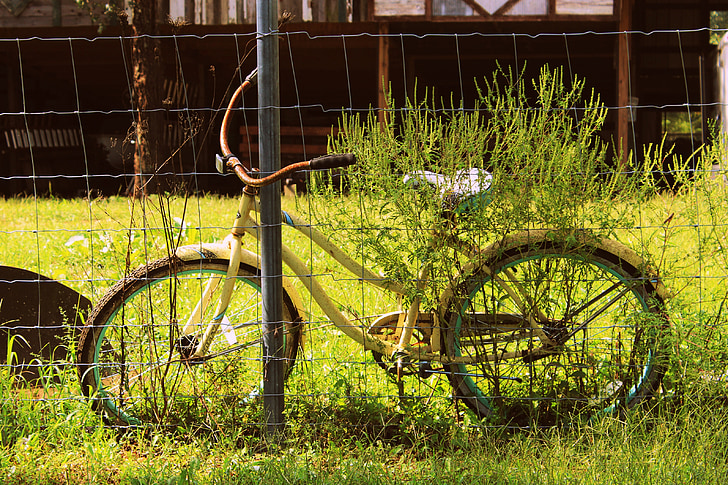 fiets, fiets, oude, antieke, verlaten, zomer, leuk