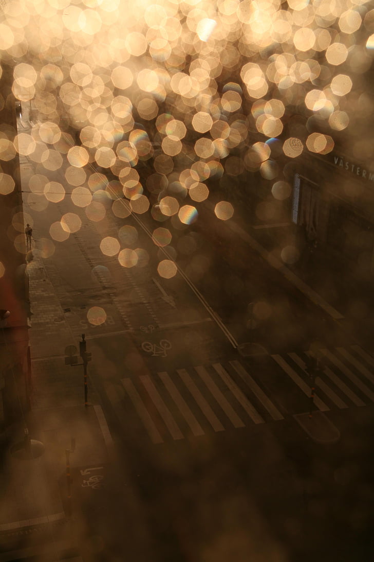 lietus, šviesos, gatvė, Miestas, pėsčiųjų perėja, vakare