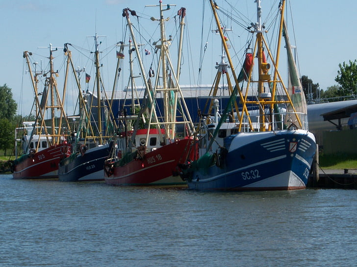 Cutter, Fischer, bateau de pêche, crevettes, mer du Nord, pêche, mer