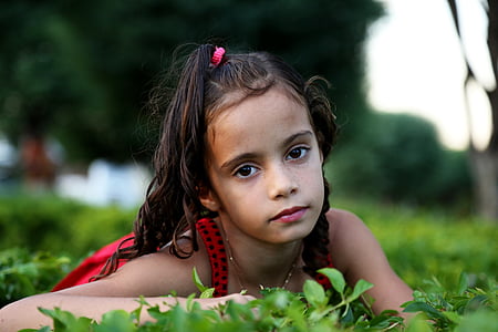 noia, jardí, model de, nen, família, herba verda, vestit vermell