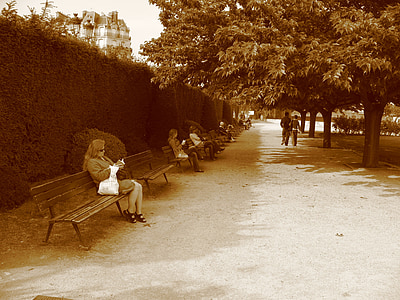 парк, лавки, Париж, жінка, сидячи, на відкритому повітрі, молоді