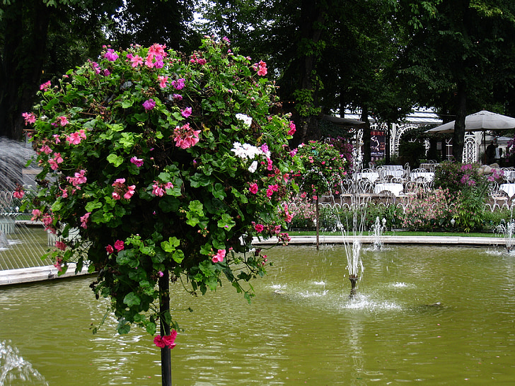 Tanska, Tivoli, suihkulähde, kukat, puu, kesällä, vesi