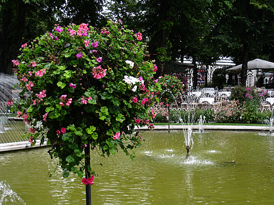 Danmark, Tivoli, fontän, blommor, träd, sommar, vatten