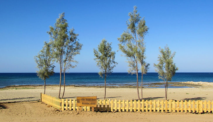 cyprus, ayia triada, beach, trees, fence, scenic