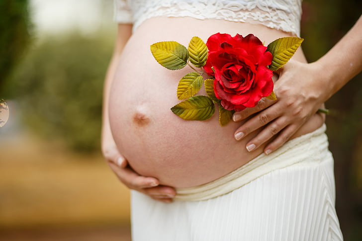 бременна жена, бременност, Роза, червен, бременна, човешки корема, жени