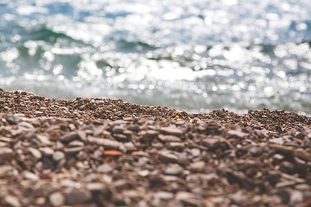 επιλεκτική, εστίαση, φωτογραφία, παραλία, Ακτή, Άμμος, κοντά σε: