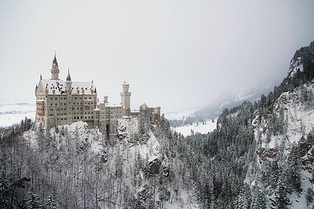 neuschwanstein, germany, castle, bavaria, landscape, tourism, palace