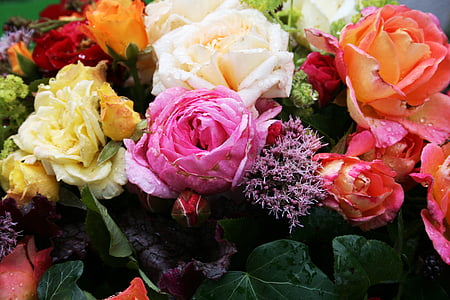 rosor, Strauss, bukett, romantiska, blommor, födelsedag bukett