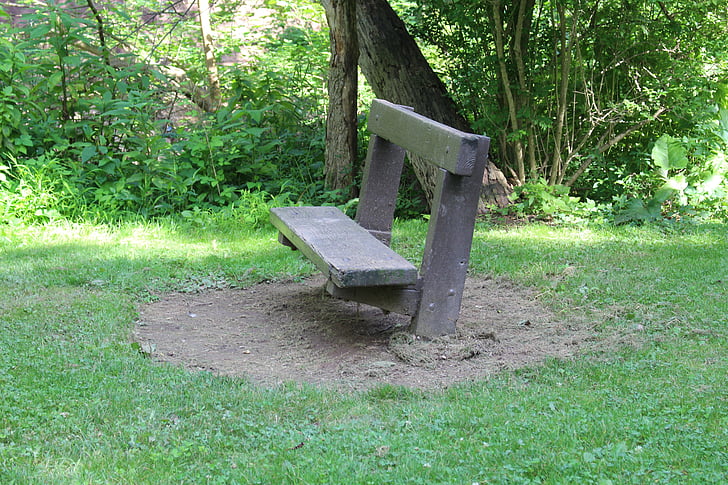 parko suoliukas, medinis staliukas, žolės, sėdynės, Gamta, žalia, lauko