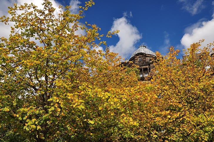 Skottland, hösten, blå himmel, helgdagar, Fife, träd, naturen