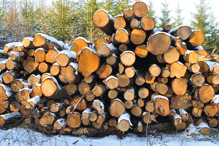 wood, tree, piles, winter