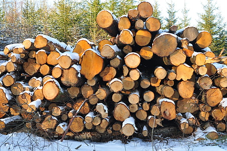 wood, tree, piles, winter