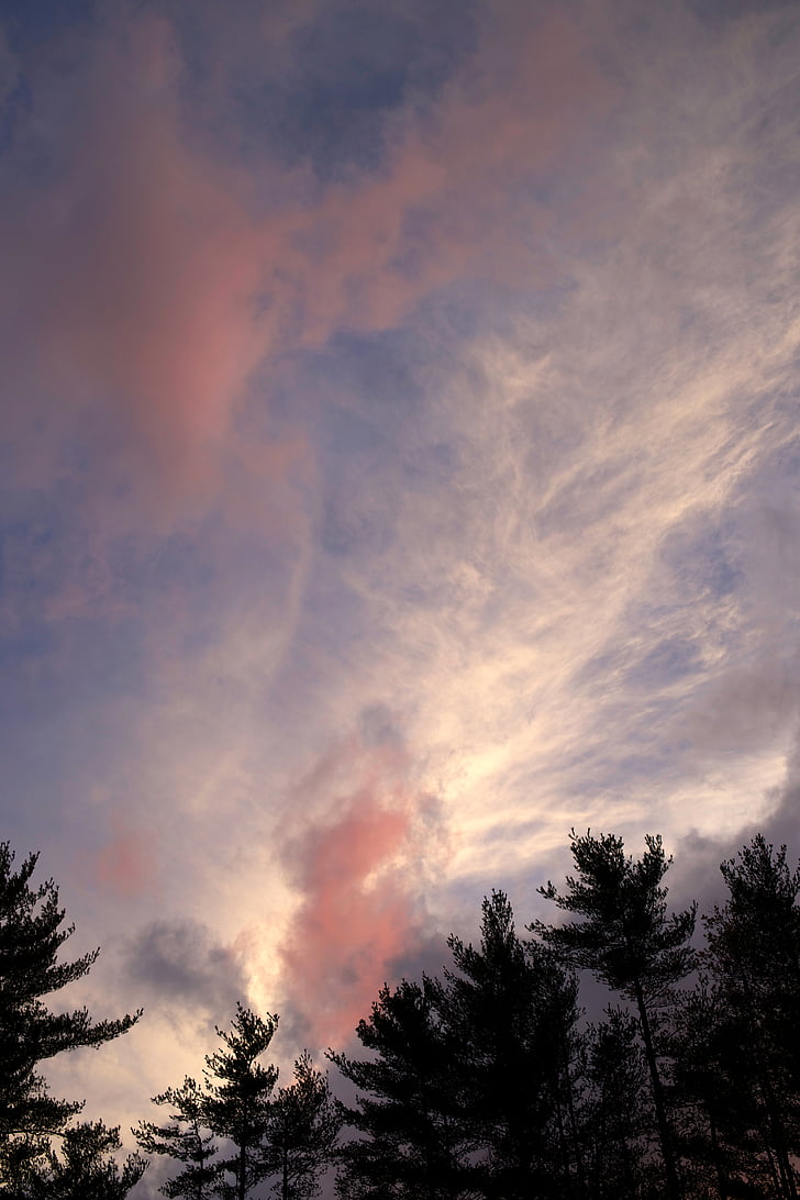 wolken, hemel, bomen, natuur, boom, zonsondergang, Cloud - sky