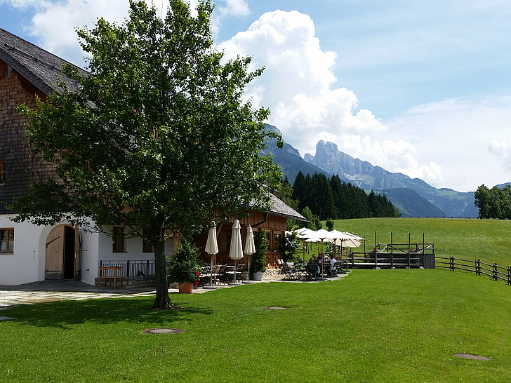fazenda, Áustria, Salzburg, natureza, Turismo, Verão, Alpina