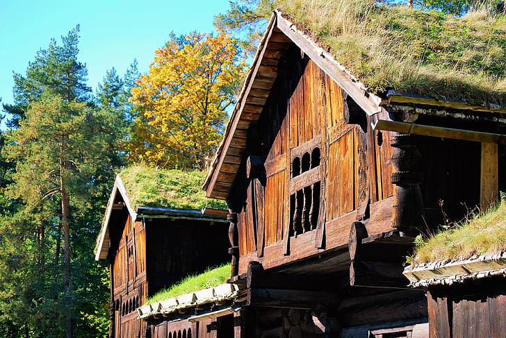 Granaio, vecchia fattoria, Casa di tronchi, rustico, costruzione, in legno, legno del granaio