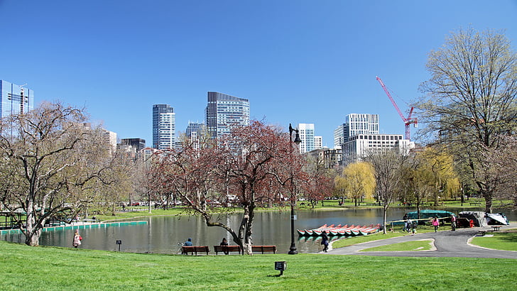 javni vrt, Boston, parka, zajednički, reper