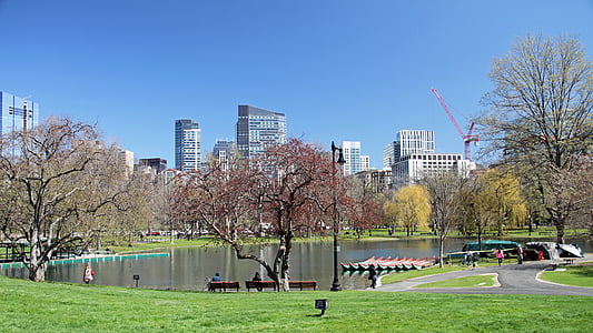 обществена градина, Бостън, парк, общи, забележителност